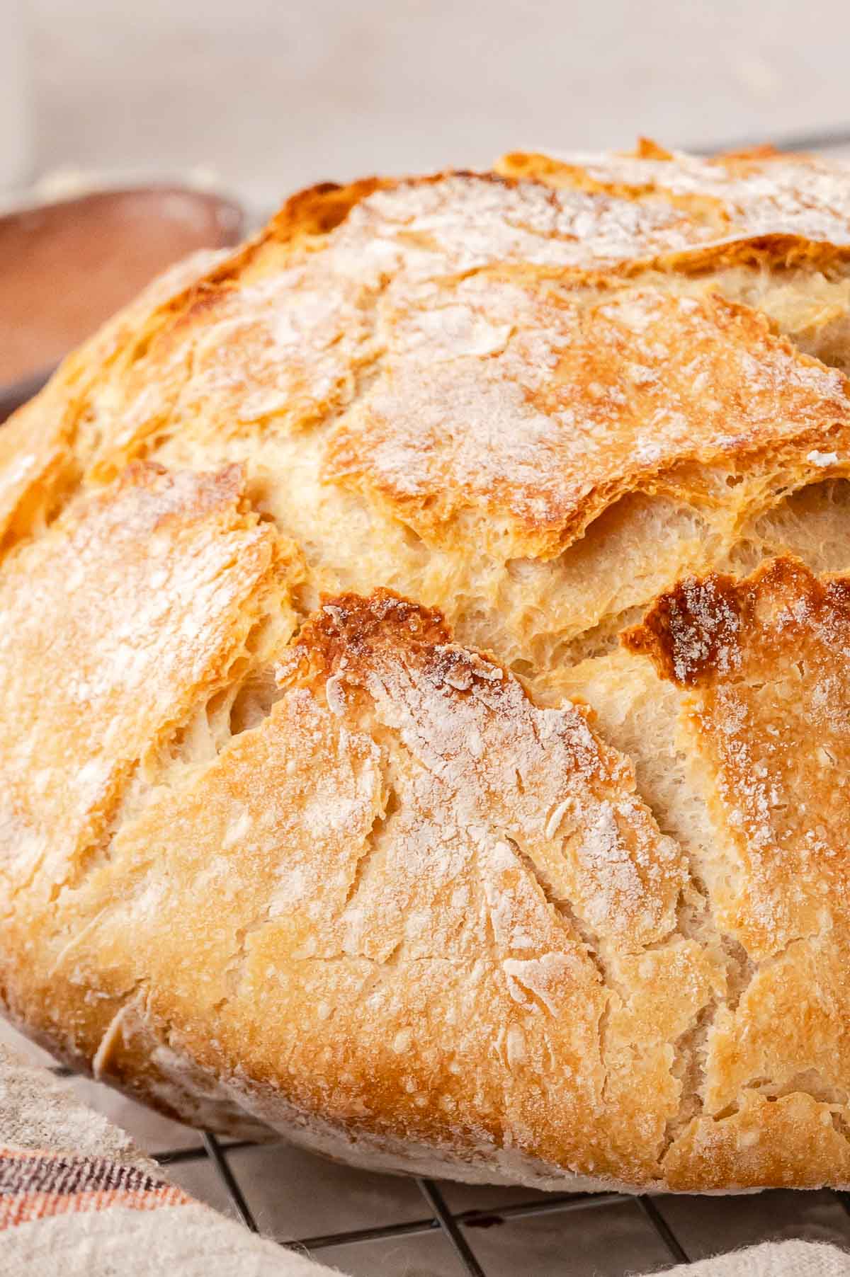 Close up of the crust of rustic bread