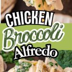 Chicken and Broccoli Alfredo by Tessie's Table.