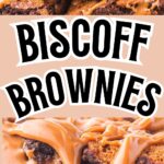 Fudgy biscoff brownies swirled with cookie butter.