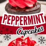 Chocolate peppermint cupcakes with mint frosting and candy cane.