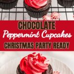 Chocolate peppermint cupcakes with mint frosting and candy cane.