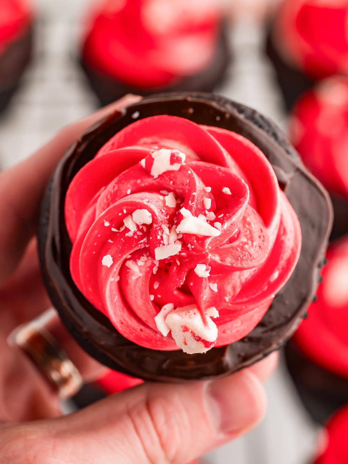 Chocolate Peppermint Cupcakes being held in a hand.