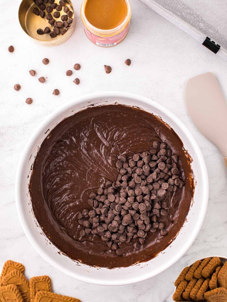 Chocolate chips on top of that Biscoff Brownie batter in a bowl.