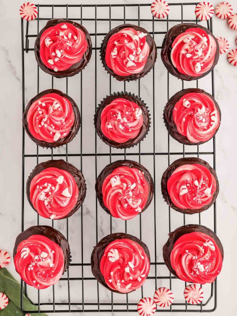 Cupcakes with the Peppermint frosting on top.