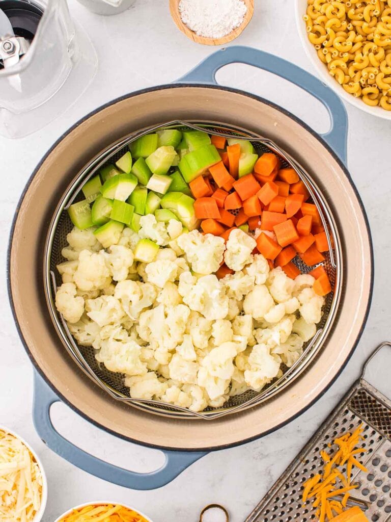 All the veggies in a pot steamed.