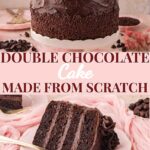 Layered double chocolate cake with chocolate frosting on a cake stand.