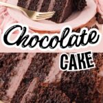 Layered double chocolate cake with chocolate frosting on a cake stand.
