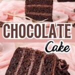 Layered double chocolate cake with chocolate frosting on a cake stand.