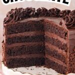 Layered double chocolate cake with chocolate frosting on a cake stand.