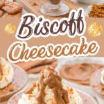 No-bake Biscoff cheesecake cups layered with cookie crust, creamy filling, and Biscoff spread, topped with whipped cream and crumbs.