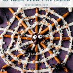 Close-up of a spider web pretzel with white chocolate, sprinkles and a candy-eyed chocolate spider by Tessie's Table.