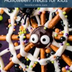 Close-up of a candy-eyed chocolate spider in the center of a pretzel spider web with colorful sprinkles by Tessie's Table.