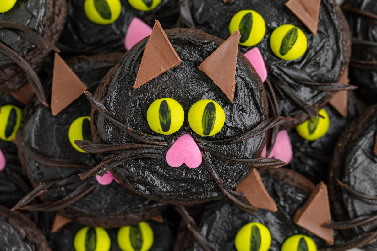 Chocolate cookies decorated to look like black cats with bright yellow candy eyes, pink heart-shaped candy noses, triangular chocolate ears, and black licorice whiskers.