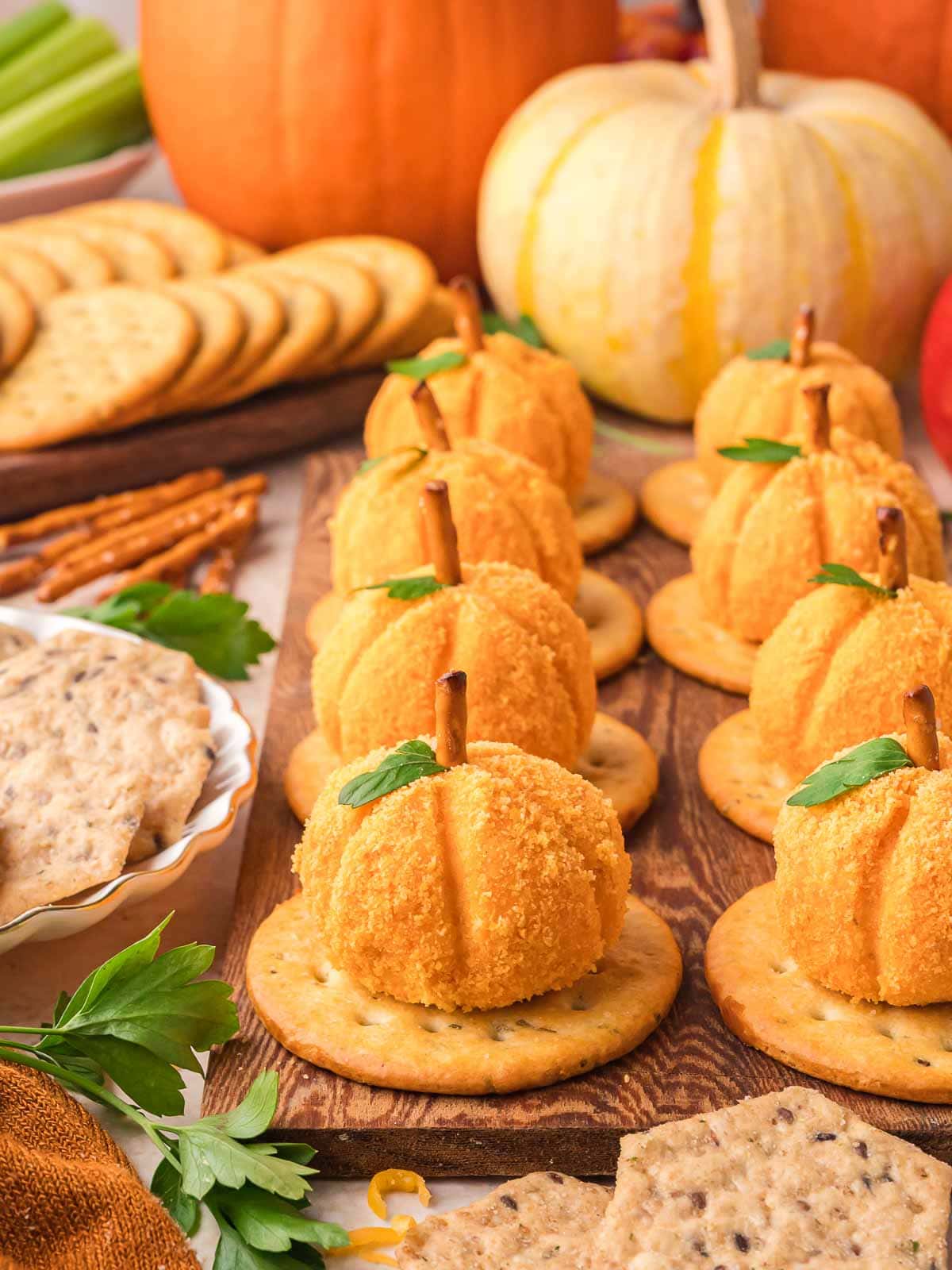 Side view of mini pumpkin-shaped cheese balls on crackers, arranged in a row with fall pumpkins and party crackers in the background.