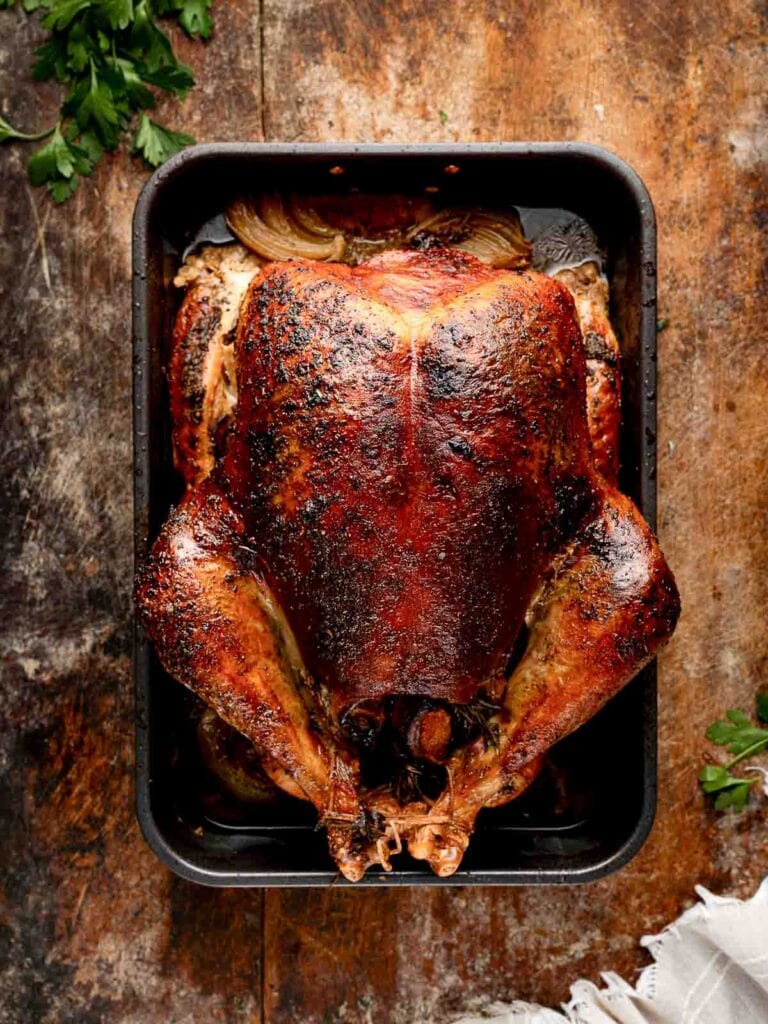 Perfectly roasted turkey with crispy brown skin resting in the pan after baking.