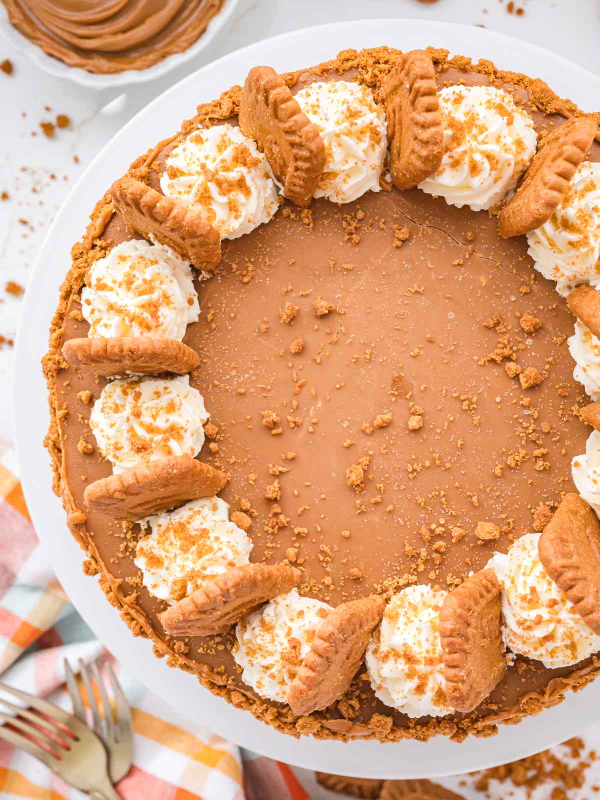 Overhead view of No-Bake Biscoff Cheesecake topped with whipped cream swirls, Biscoff cookies, and cookie crumbs.