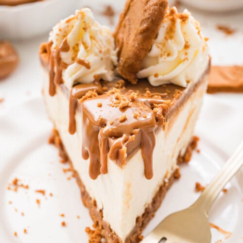 Close-up of a plated slice of No-Bake Biscoff Cheesecake with cookie butter dripping down the sides.