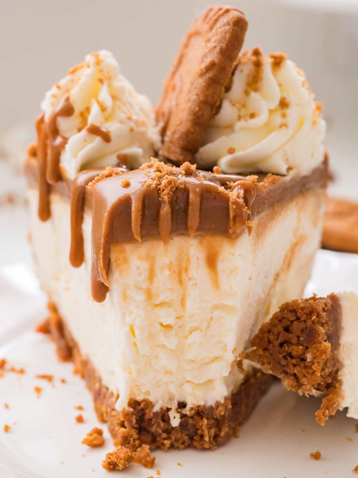 Bite taken from a slice of Biscoff Cheesecake showing the creamy center and crunchy cookie crust.