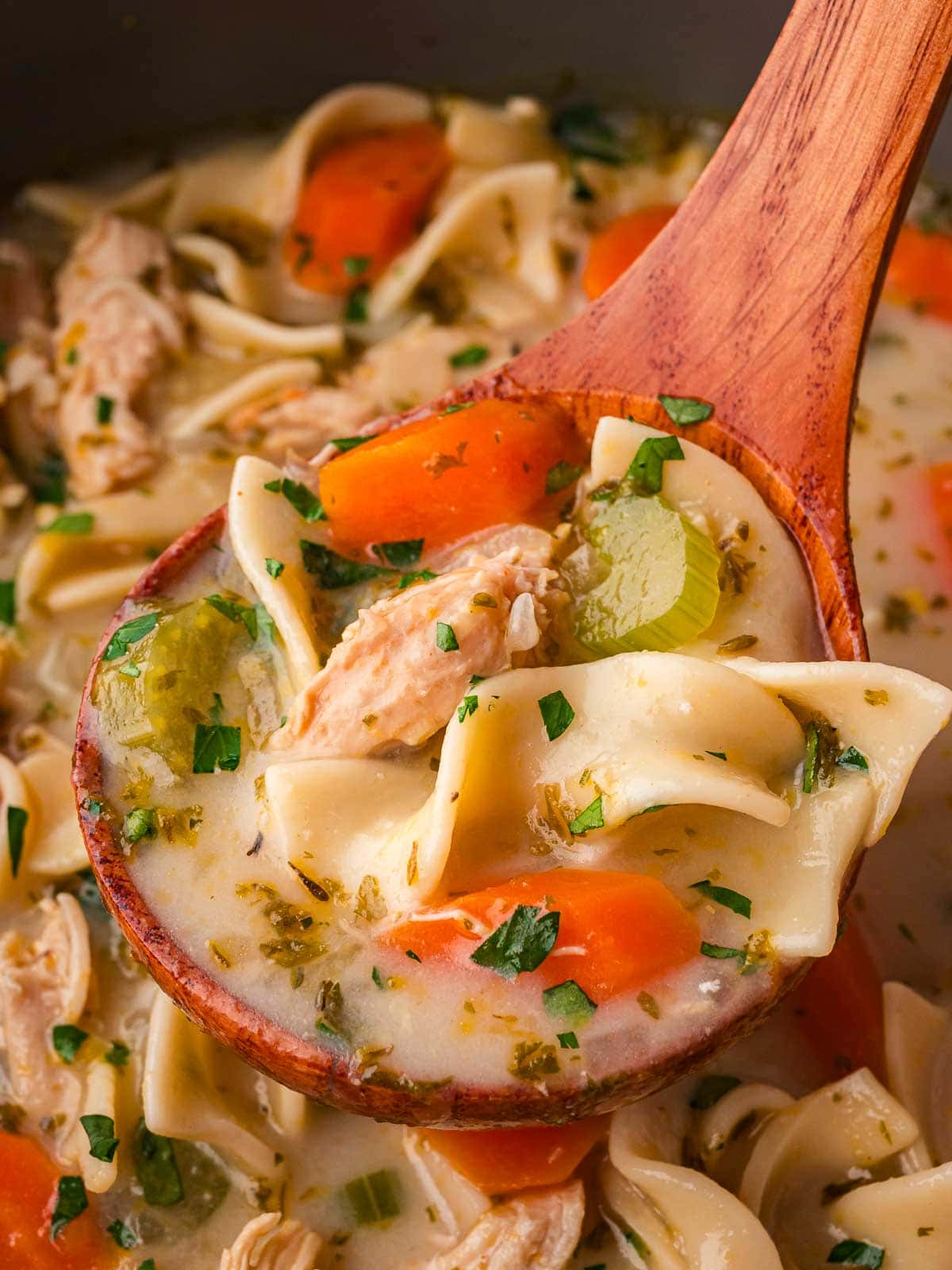 Ladle lifting creamy chicken noodle soup with noodles, carrots, celery, and shredded chicken.