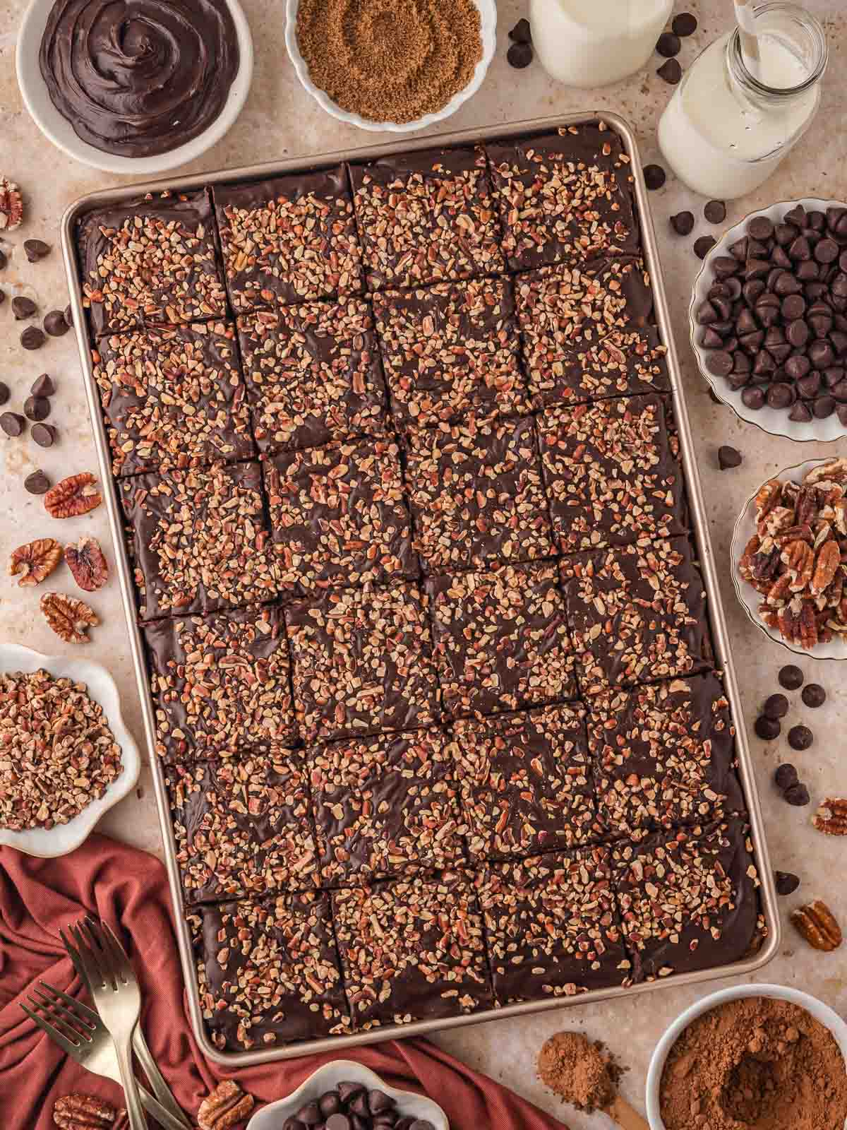 Full sheet pan of Texas Sheet Cake cut into squares, topped with chopped pecans and glossy chocolate frosting, surrounded by chocolate chips, cocoa, and pecans.
