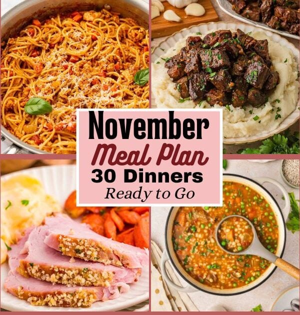 Monthly Meal Plan for November 2026